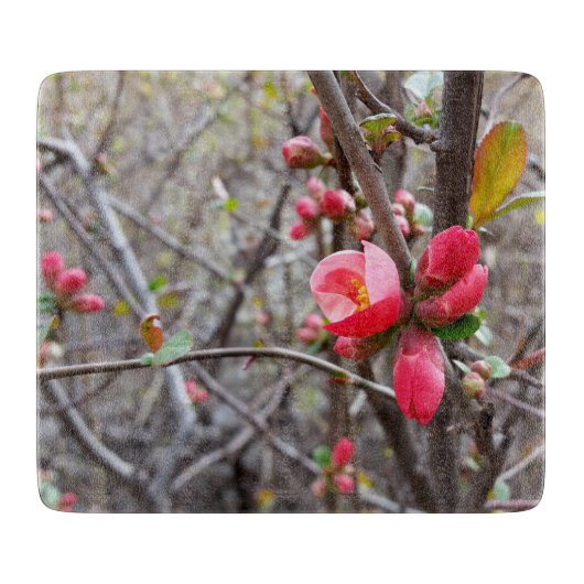 Planche À Découper fleurs rouges (Devant)
