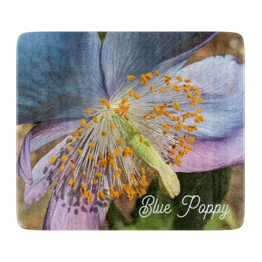 Planche À Découper Flore de fleurs de crapaud bleu (Devant)