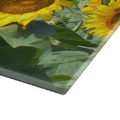 Planche À Découper Flower, sun, plant, nature, summer, floral (Coin)