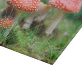 Planche À Découper Fly Agaric Dans Une Forêt, Photo Closeup (Coin)