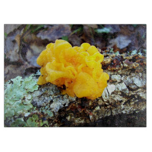 Planche À Découper Fongi Tremella Mesenterica Plaque de coupe en verr