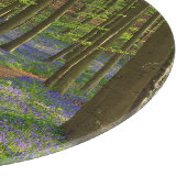 Planche À Découper Forest | Bluebell Forest en Belgique (Coin)