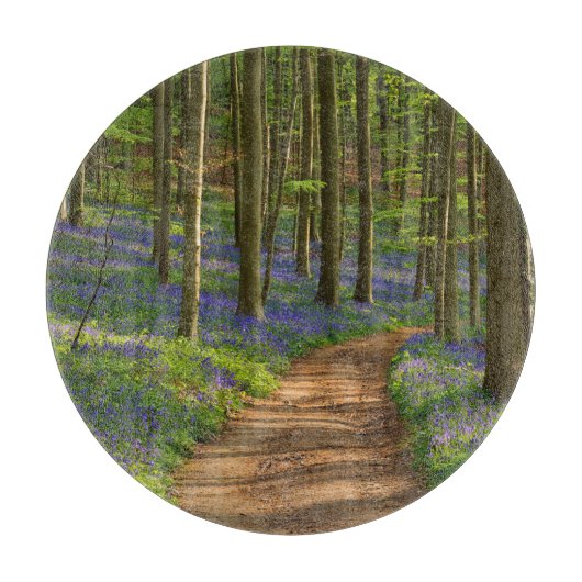 Planche À Découper Forest | Bluebell Forest en Belgique (Devant)