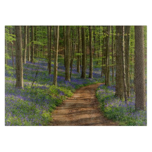 Planche À Découper Forest | Bluebell Forest en Belgique (Devant)