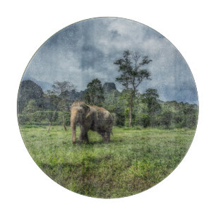 Planche À Découper Forest Parc national