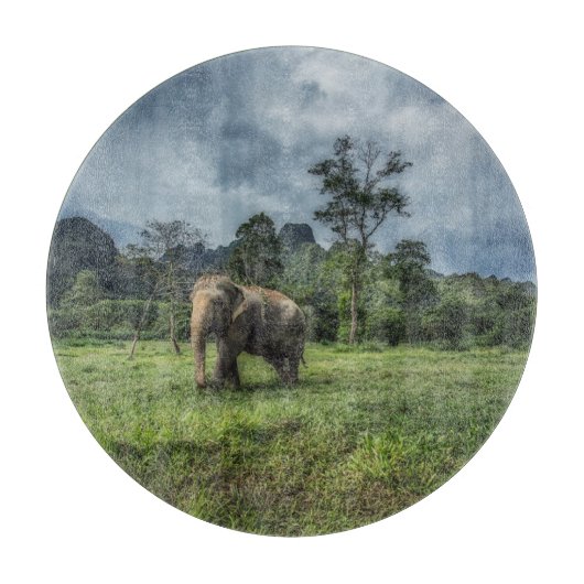 Planche À Découper Forest Parc national (Devant)