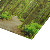 Planche À Découper Forest | Parc national olympic (Coin)