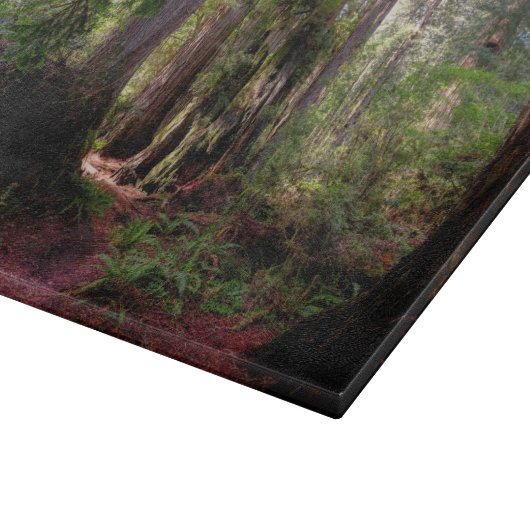 Planche À Découper Forest | Séquwood Forest California (Coin)
