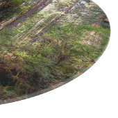 Planche À Découper Forest | Séquwood Forest California (Coin)