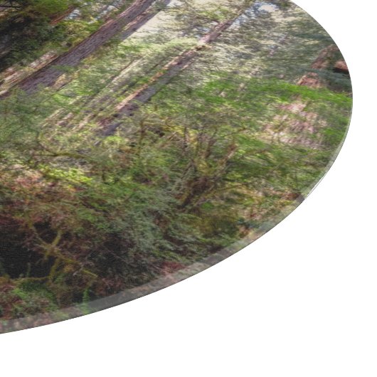 Planche À Découper Forest | Séquwood Forest California (Coin)