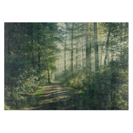 Planche À Découper Forests | Forest Path Hamburg Germany (Devant)