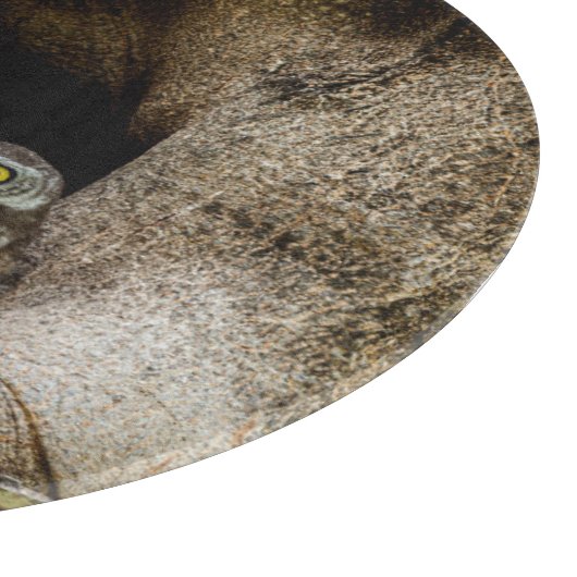 Planche À Découper Forests | Three Owls Looking (Coin)