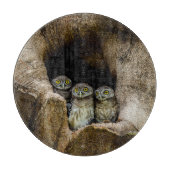 Planche À Découper Forests | Three Owls Looking (Devant)
