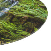 Planche À Découper Forêt | Beauchamp Falls Australie (Coin)