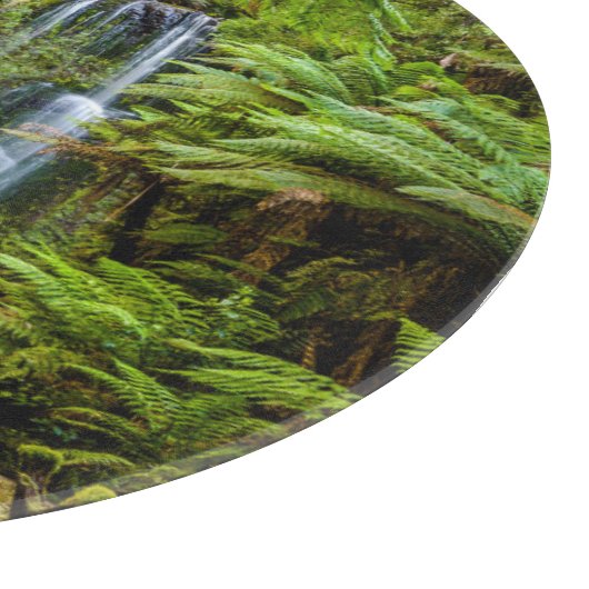 Planche À Découper Forêt | Beauchamp Falls Australie (Coin)