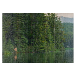 Planche À Découper Forêt Elk au parc national Banff Alberta