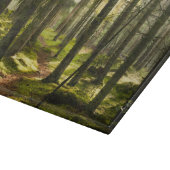 Planche À Découper Forêt | Forêt boréale Suède (Coin)