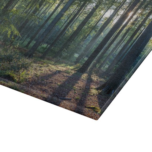 Planche À Découper Forêt | Forêt Noire Allemagne (Coin)