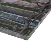 Planche À Découper Forêt géante japonaise de bambou, Sagano, Kyoto, J (Coin)