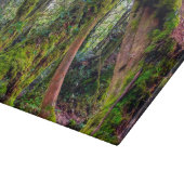 Planche À Découper Forêt moussue (Coin)
