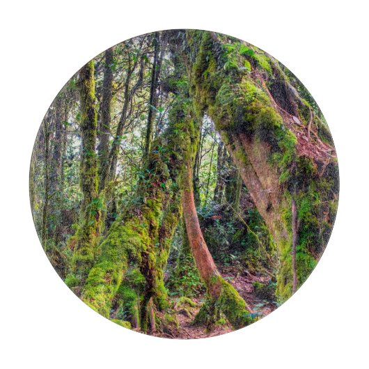 Planche À Découper Forêt moussue (Devant)