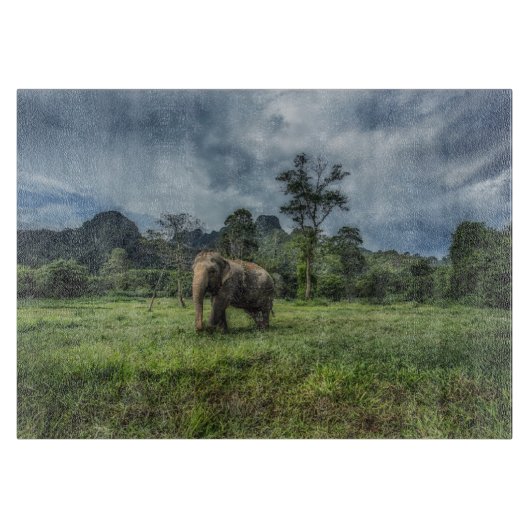 Planche À Découper Forêt | Parc national de Kao Sok (Devant)