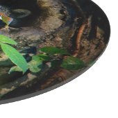 Planche À Découper Forêt | Raccoon Peeking (Coin)