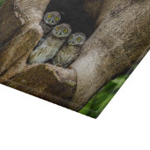 Planche À Découper Forêt | Trois Chouettes (Coin)