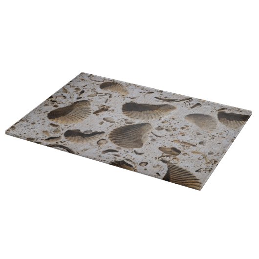 Planche À Découper Fossiles de calcaire (Coin)