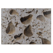 Planche À Découper Fossiles de calcaire (Devant)