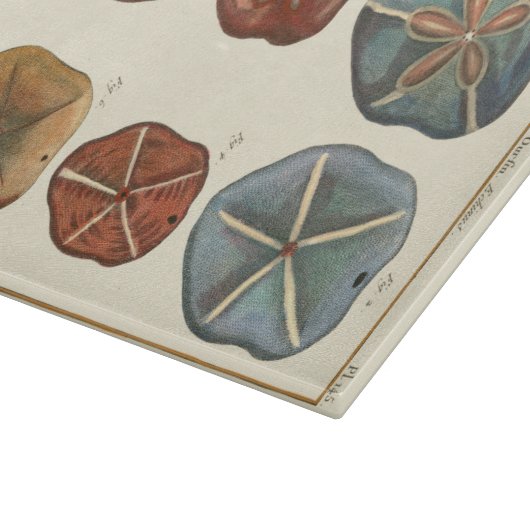 Planche À Découper Gemmes Dollars De Sable (Coin)