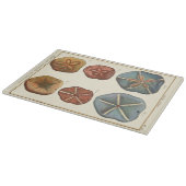 Planche À Découper Gemmes Dollars De Sable (Coin)