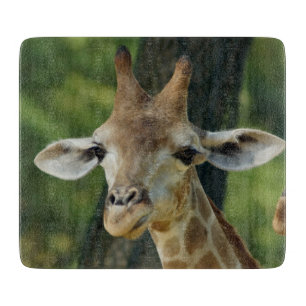 Planche À Découper Girafe