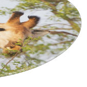 Planche À Découper Girafes dépassant la végétation (Coin)