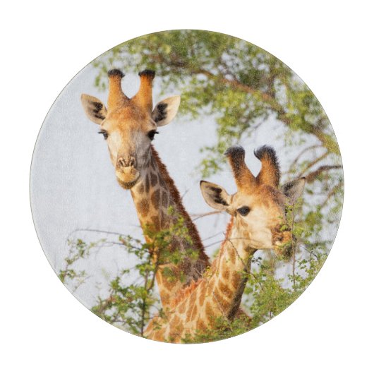 Planche À Découper Girafes dépassant la végétation (Devant)