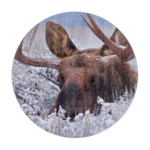 Planche À Découper Glace et neige Grand Teton National Park, Wyomin