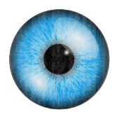 PLANCHE À DÉCOUPER GLODE OCULAIRE (Devant)