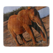 Planche À Découper Grand Rouge (Devant)