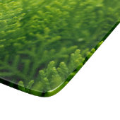 Planche À Découper Green leaves background (Coin)