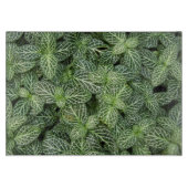 Planche À Découper Green Nerve Plante Feuille Floral (Devant)