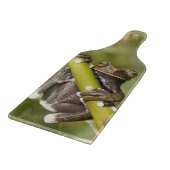 Planche À Découper Grenouille arboricole captive de Tapichalaca Hylos (Coin)
