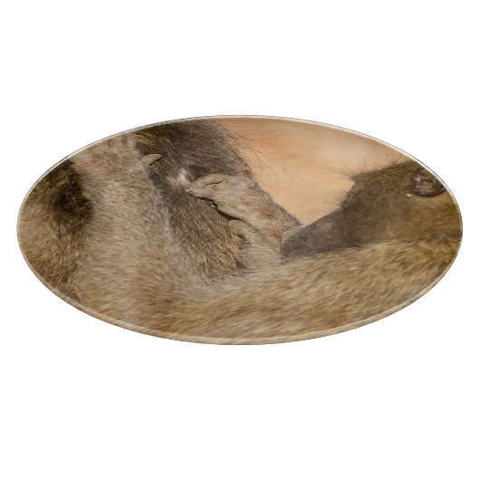 Planche À Découper Grooming baboons (Coin)