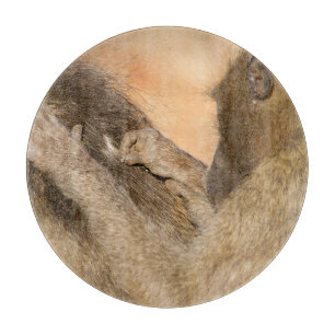Planche À Découper Grooming baboons
