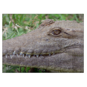 Planche À Découper Gros plan sur l'œil de crocodile et les dents poin