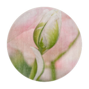 Planche À Découper Gros plan sur tulipe et bourgeon