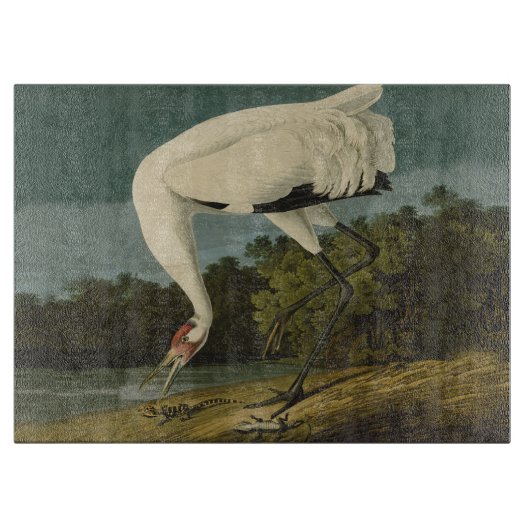 Planche À Découper Grue blanche Audubon Peinture d'oiseaux (Devant)