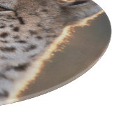 Planche À Découper Guépard regardant ailleurs (Coin)