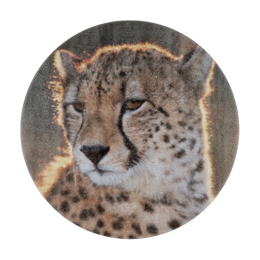 Planche À Découper Guépard regardant ailleurs (Devant)