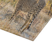 Planche À Découper Guépard regardant autour (Coin)