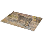 Planche À Découper Guépard regardant autour (Coin)